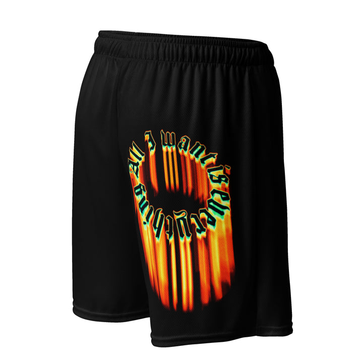 FL BRANDED - “ALL I WANT IS EVERYTHING” MESH SHORTS